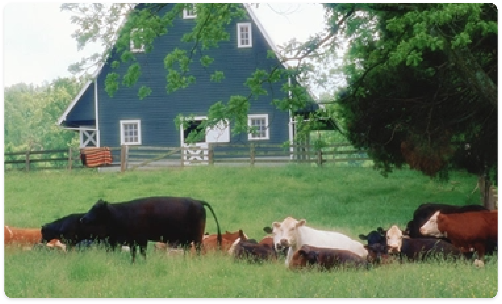 Agricultural Heritage